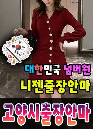 고양시출장안마·고양시출장마사지 – 검증된 스웨디시·홈케어 전문 니젠마사지