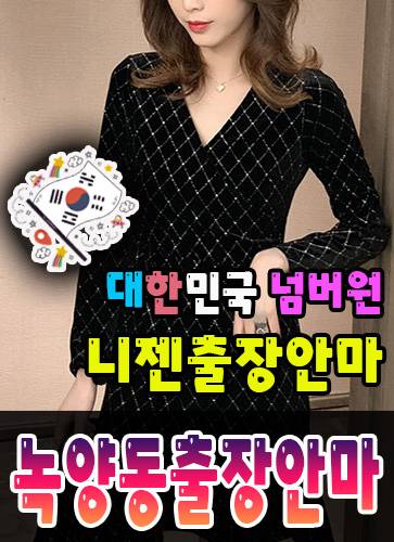 녹양동출장안마